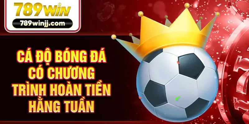 Cá độ bóng đá có chương trình hoàn tiền hằng tuần