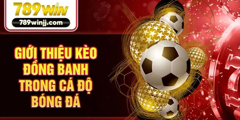 Giới thiệu kèo đồng banh trong cá độ bóng đá Giới thiệu kèo đồng banh trong cá độ bóng đá