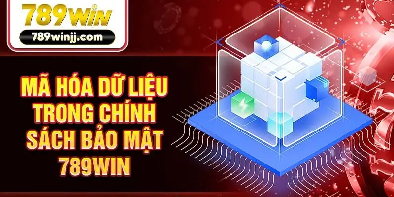 Mã hóa dữ liệu trong chính sách bảo mật 789win Mã hóa dữ liệu trong chính sách bảo mật 789win